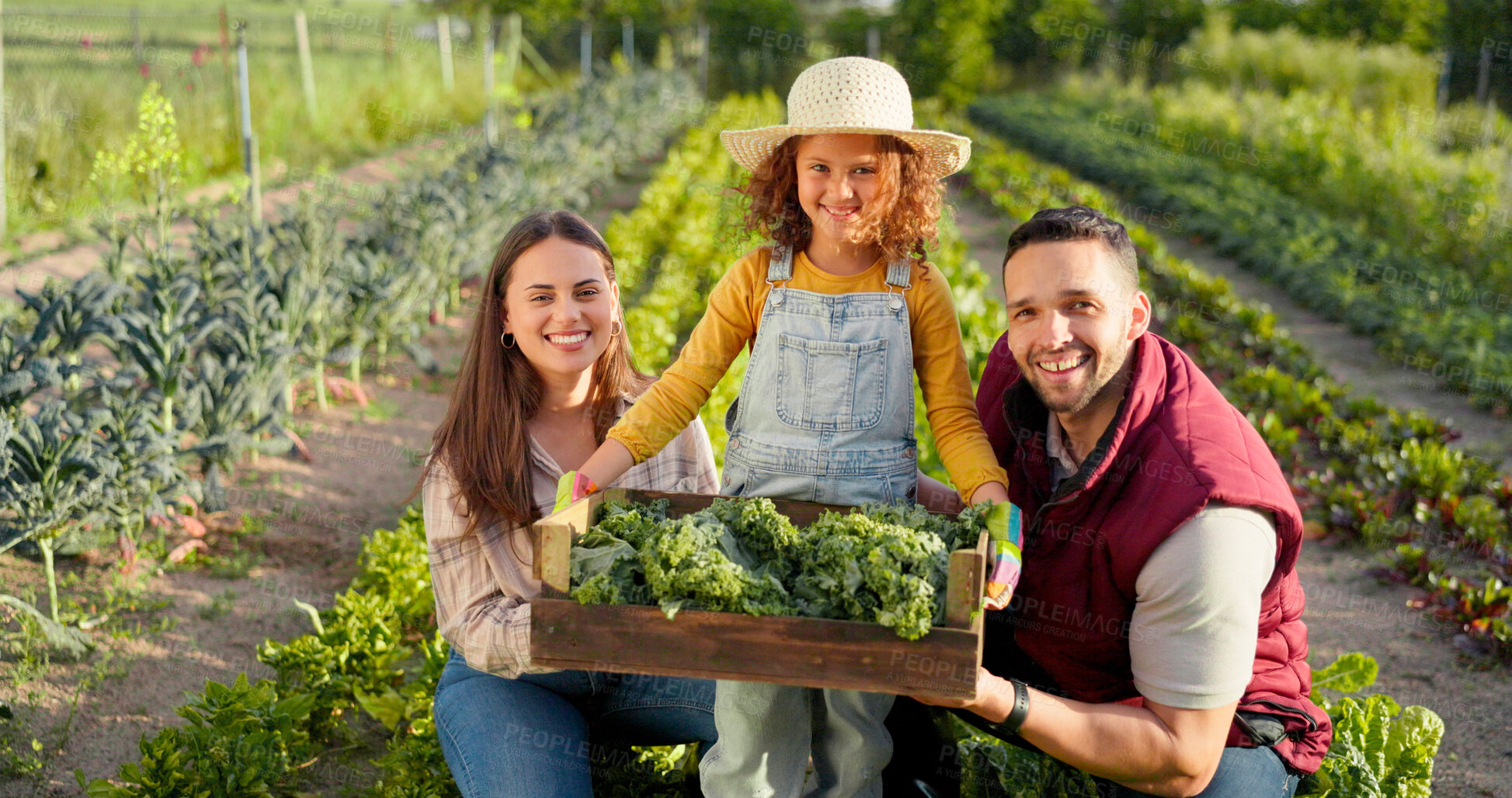 Buy stock photo Parents, girl and box with vegetables, farm and portrait with smile, pride or outdoor for harvest in sunshine. Father, mother and daughter with container, farming or agriculture with bonding in field