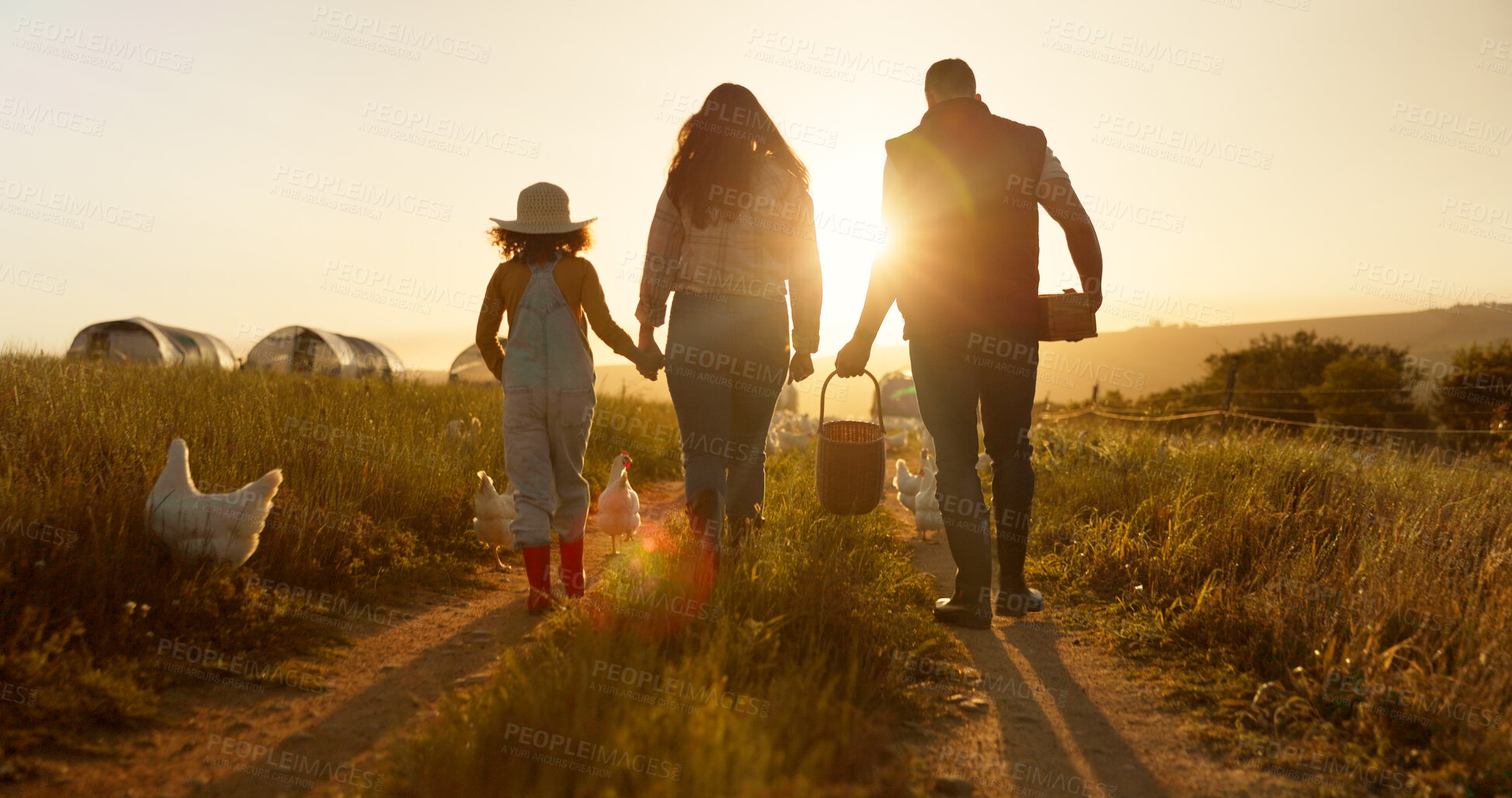 Buy stock photo Sunset, holding hands and chicken with family on farm for sustainability, environment and livestock industry. Agriculture, nature and love with parents and child in countryside field for animals
