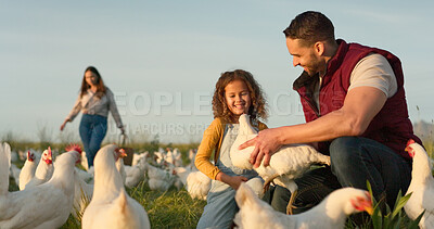 Chicken, farm and family love of happy mom, dad and child enjoy quality time together, talking and bond on countryside field. Poultry farming, free range bird and animal livestock with farmer people