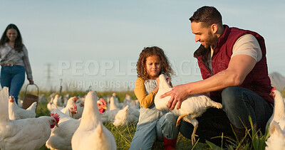 Mother, father and child with a chicken on a farm playing having fun farming and harvesting organic poultry livestock. Happy family, mom and dad enjoy quality time, memories and bonding with a girl