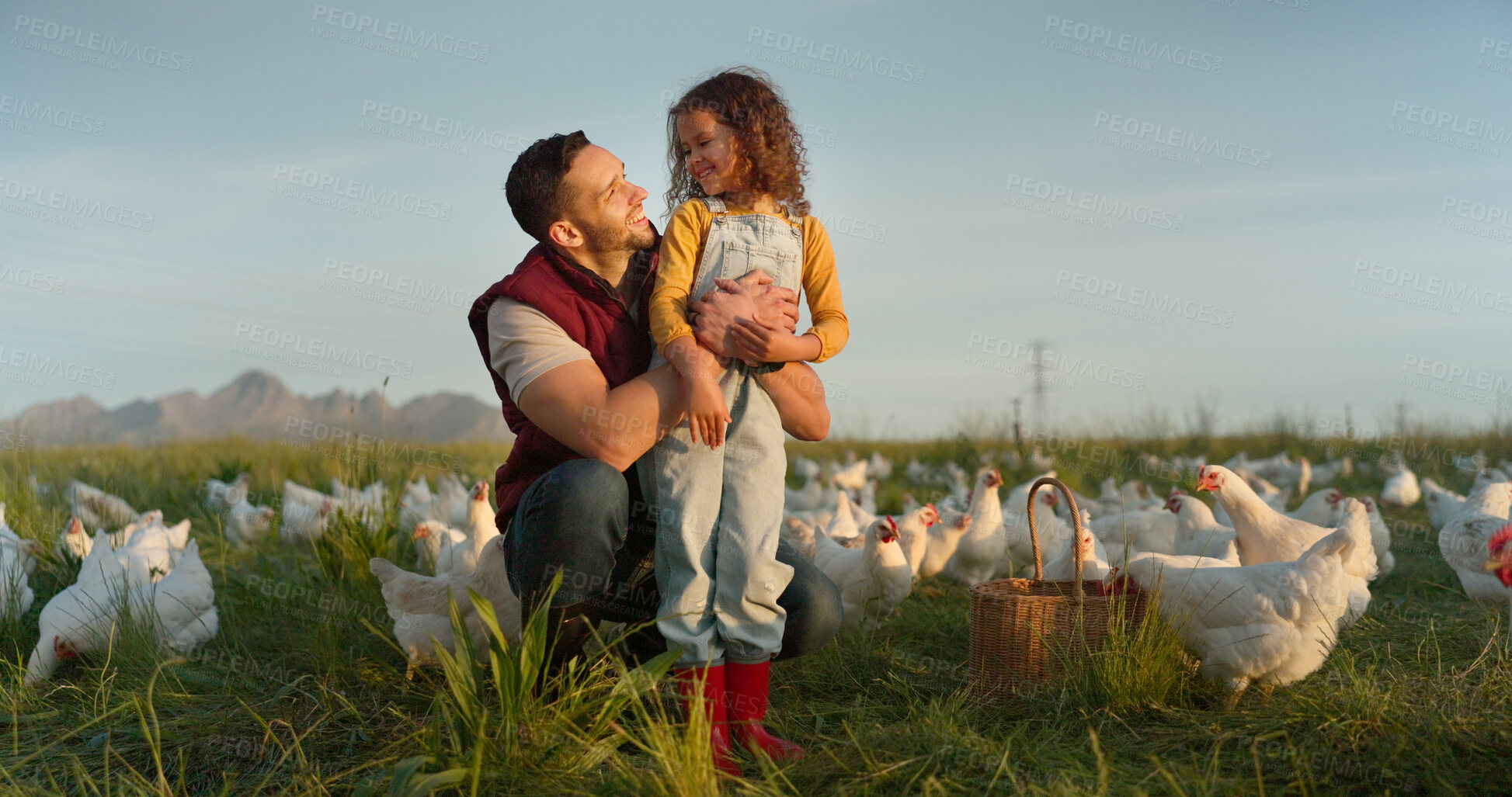 Buy stock photo Agriculture, chicken and father with daughter on farm for sustainability, environment and livestock industry. Happy, nature and love with man and child in countryside field for animals and family