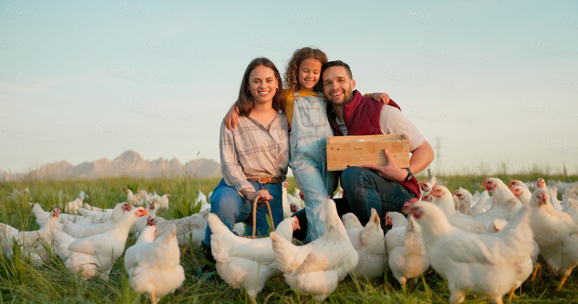 Buy stock photo Parents, girl and portrait with chickens, farm and happy with box for food, sustainability or hug in sunshine. Father, mother and daughter with poultry, countryside or environment with care for birds