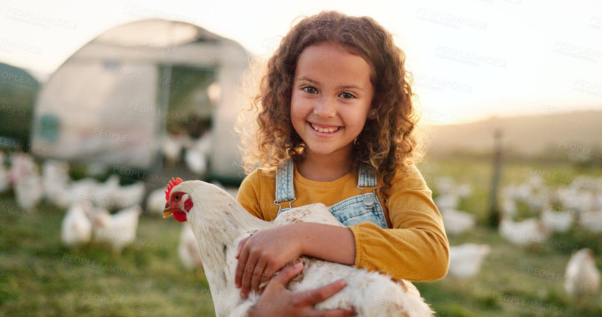 Buy stock photo Chicken, happy and portrait of kid on a farm learning about sustainable agriculture in the countryside of Spain. Face smile, girl and poultry farming of animals, bird and sunrise on field in nature