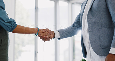 Handshake, office and business people in partnership, agreement or onboarding b2b contract. Meeting, company deal and professional colleagues shaking hands for welcome or greeting in the workplace.