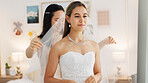 Bride, wedding and woman helping with veil in dressing room smile for special day. Happy women love and bridesmaid support or helping bride with fabric head piece for beauty, marriage and happiness