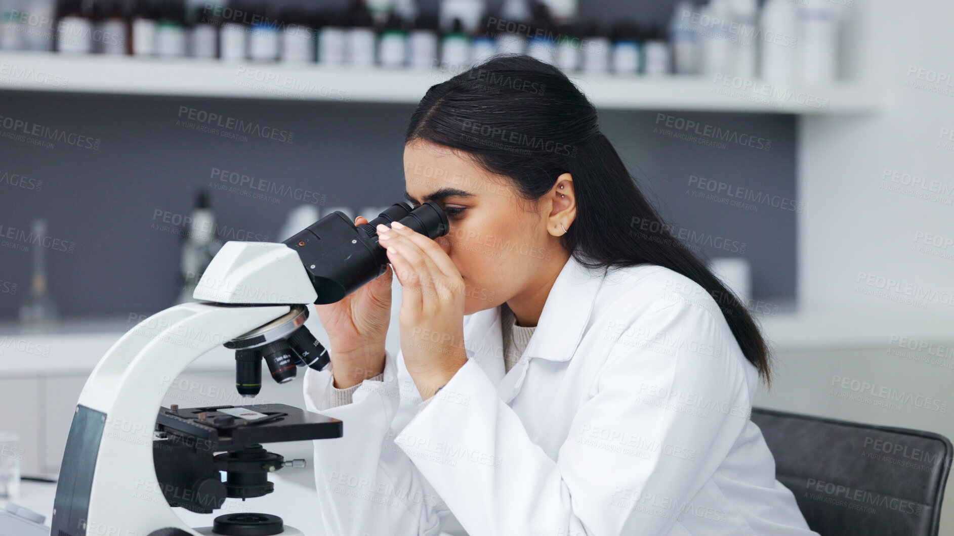 Buy stock photo Science, research and woman with microscope checking growth, medical innovation and biotech in laboratory. Medicine, development and bacteria, scientist or lab technician with study on test results.