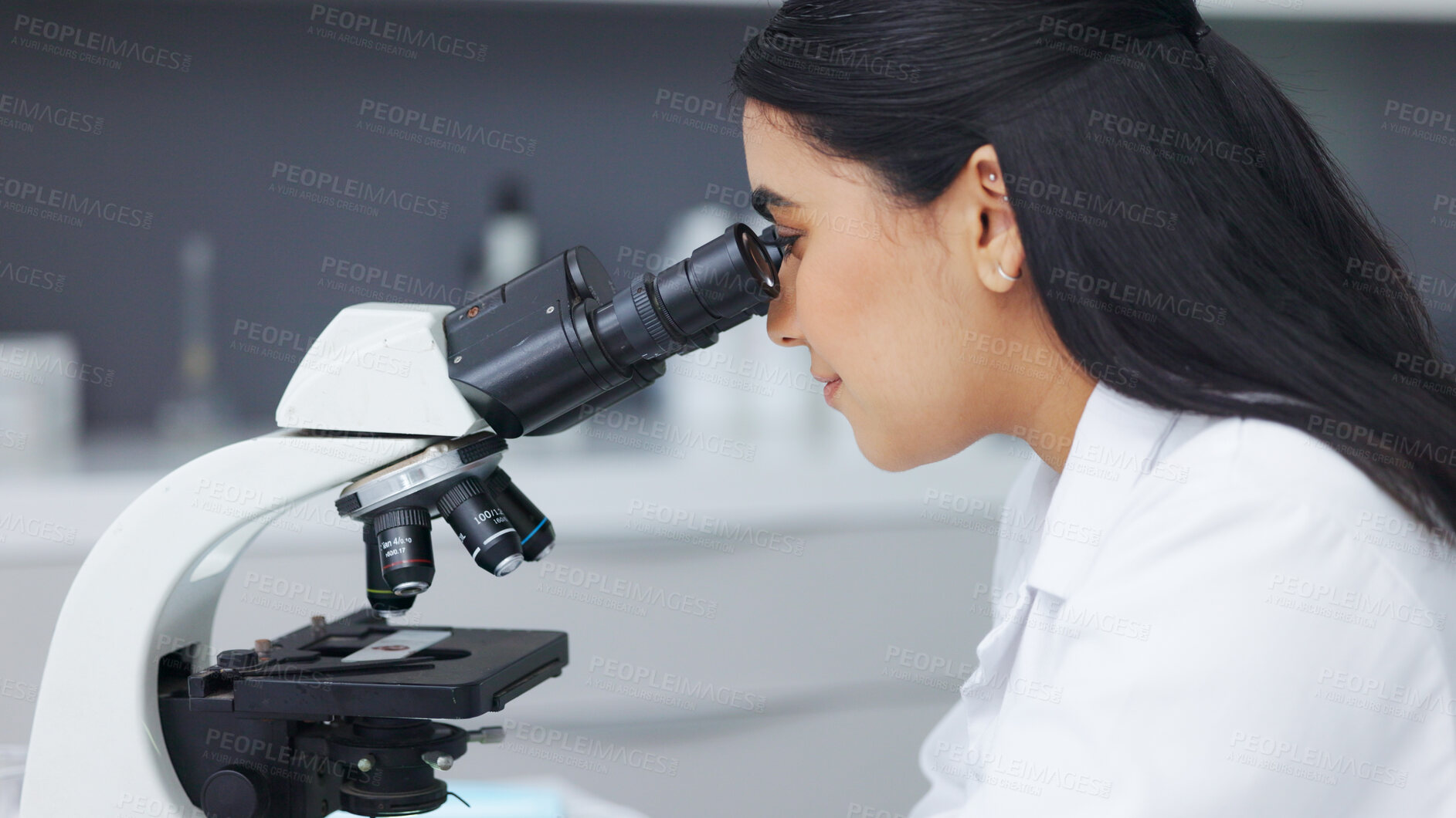 Buy stock photo Science, research and woman with microscope, bacteria growth and medical innovation at biotech laboratory. Medicine, virus development and dna, scientist or lab technician with study on test results.