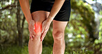 Knee pain, legs and park runner man, athlete and training, workout and exercise on outdoor nature trail. Closeup fitness body, inflammation problem and muscle injury, health risk and running sports