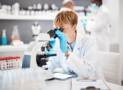 Buy stock photo Bacteria, microscope and science with black woman in laboratory for experiment, medical and pharmacy. Healthcare, medicine and results with expert looking for pathology, test and sample analysis