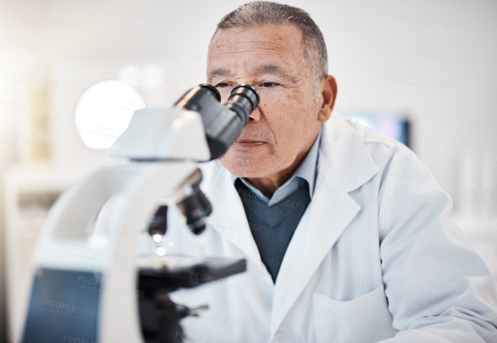 Buy stock photo Science, laboratory and senior scientist with microscope for research, medical study and data analytics. Healthcare, biotechnology and old man with sample for experiment, vaccine exam and medicine