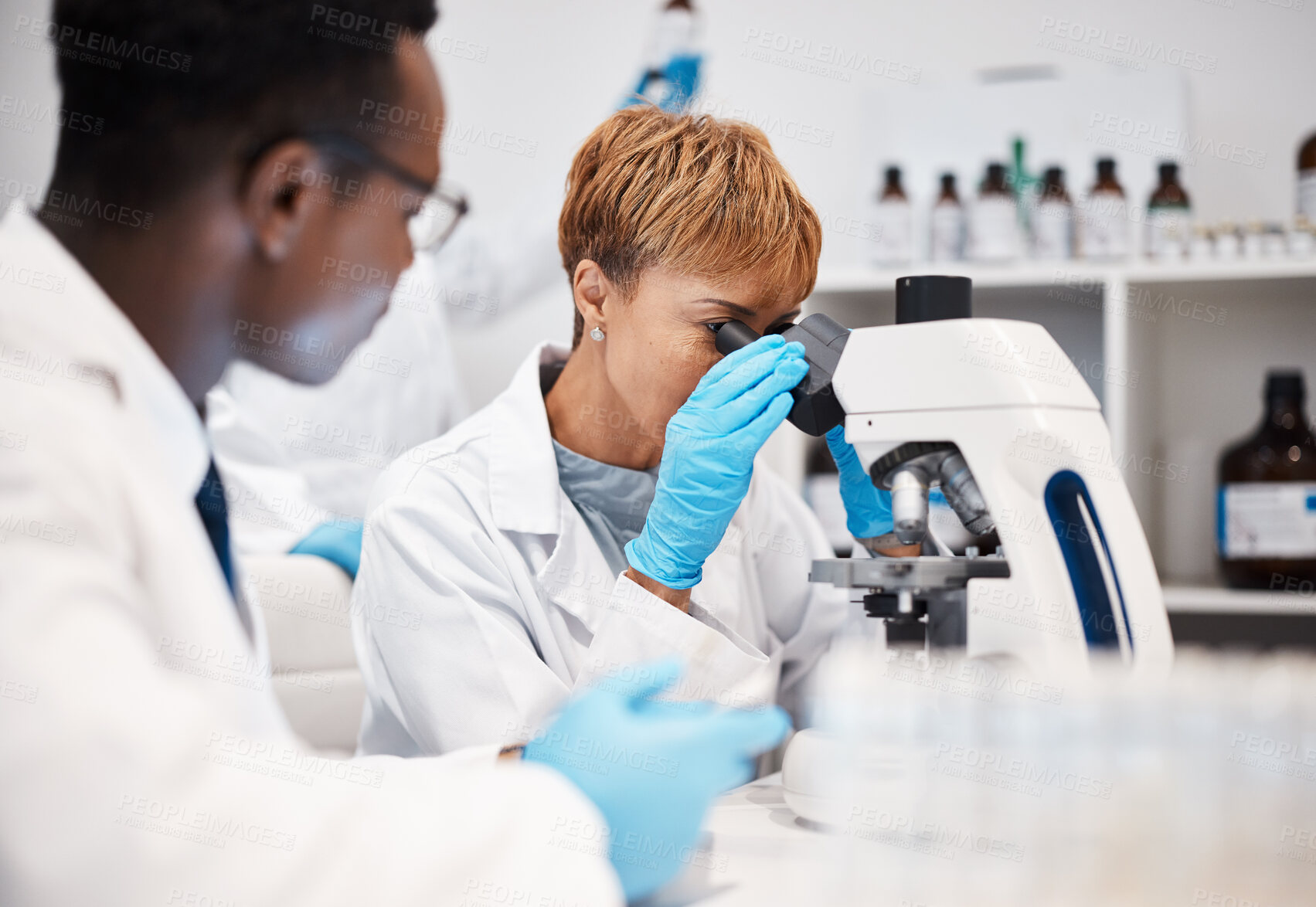 Buy stock photo Science, research and woman with microscope in laboratory for experiment, study and medical report. Healthcare team, biotechnology and scientists check sample, virus and bacteria for vaccine analysis