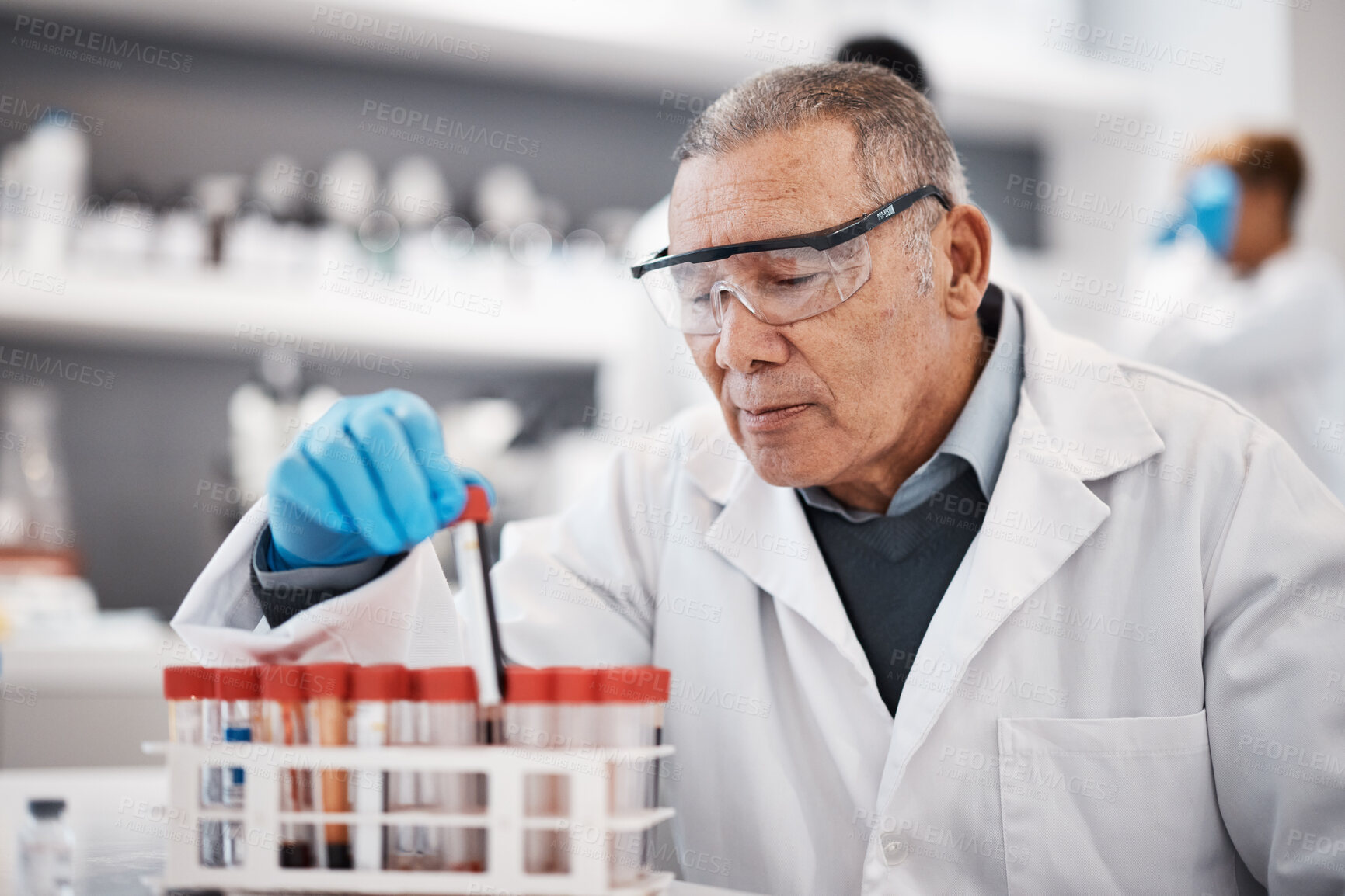 Buy stock photo Blood, science and scientist in laboratory with sample for research, medical study and forensic investigation. Healthcare, pharmaceutical and senior man with vial for dna test, exam and rna analysis