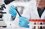 Blood, test tube and hands of scientist in laboratory with sample for research, medical study and investigation. Healthcare, pharmaceutical and man with vial for dna testing, science and rna analysis