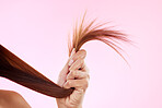 Woman, split end in hand and hair in studio for salon, hairdresser or repair shampoo or treatment. Damage and dry texture or hairstyle of a beauty model on a pink background for self care cosmetics