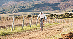 Man, bicycle and cycling on gravel in nature, countryside and training for triathlon, sports and power. Cyclist, mountain bike and off road path for marathon fitness, exercise and freedom in sunshine