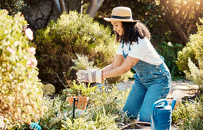 Buy stock photo Gardener, plants and spring with a woman outdoor planting flowers or bushes in the yard while gardening. Nature, earth day and plants with a young female in a garden for landscaping or botany 
