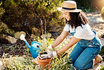Gardening, plants and plants with a woman outdoor planting flowers or bushes in the yard as a gardener. Nature, earth day and spring with a young female in the garden for landscaping or botany
