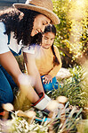 Family, children or gardening with a woman and daughter planting plants in the backyard together. Nature, kids or landscaping with a mother and female child working in the garden during spring