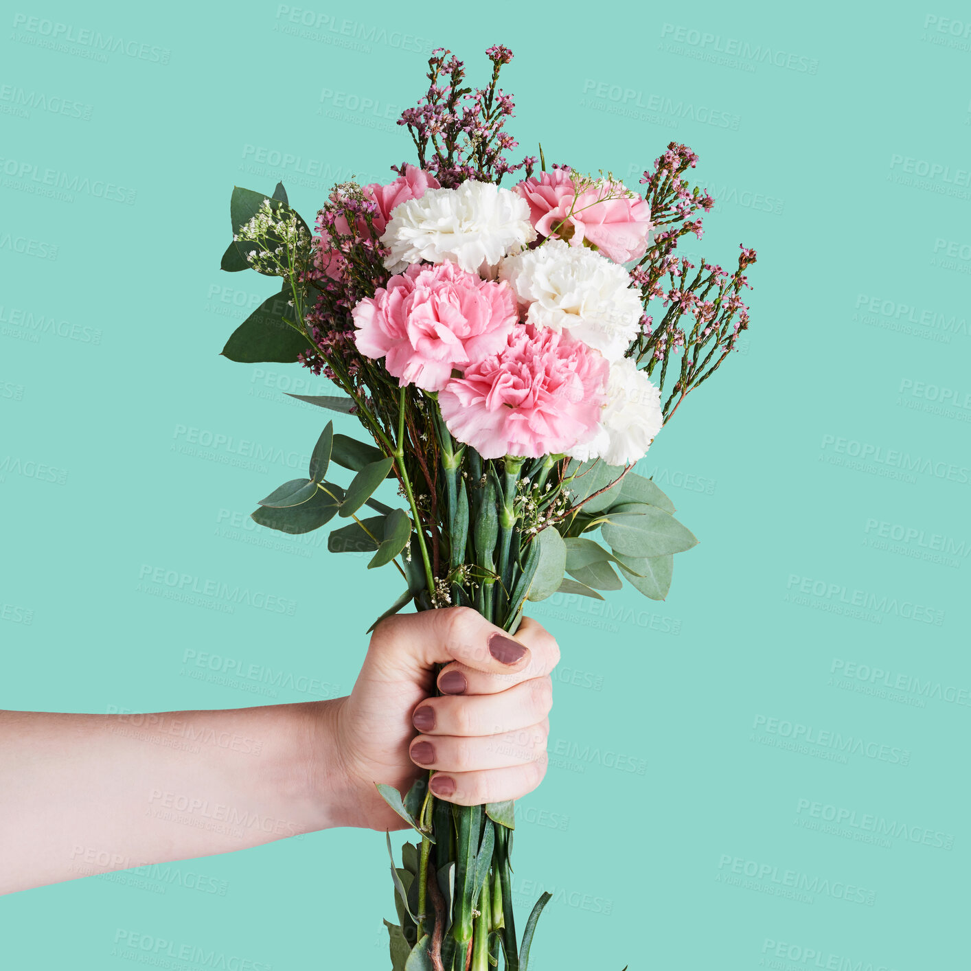 Buy stock photo Flowers, bouquet and hands of woman on blue background for nature, spring and natural beauty. Romance mockup, present and girl with manicure holding botanical, floral or blossom gift in studio space