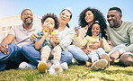 Family, happiness outdoor and relax on lawn, kids blowing bubbles together with grandparents and parents. Happy people, summer and sitting on grass, love and care, bonding with generations and smile