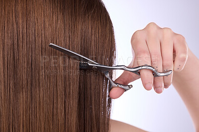 Buy stock photo Woman, hands and scissors for haircut on studio background for aesthetic change. Female model cutting hairstyle for beauty, hairdresser cosmetics and healthy shine of DIY makeover and salon treatment