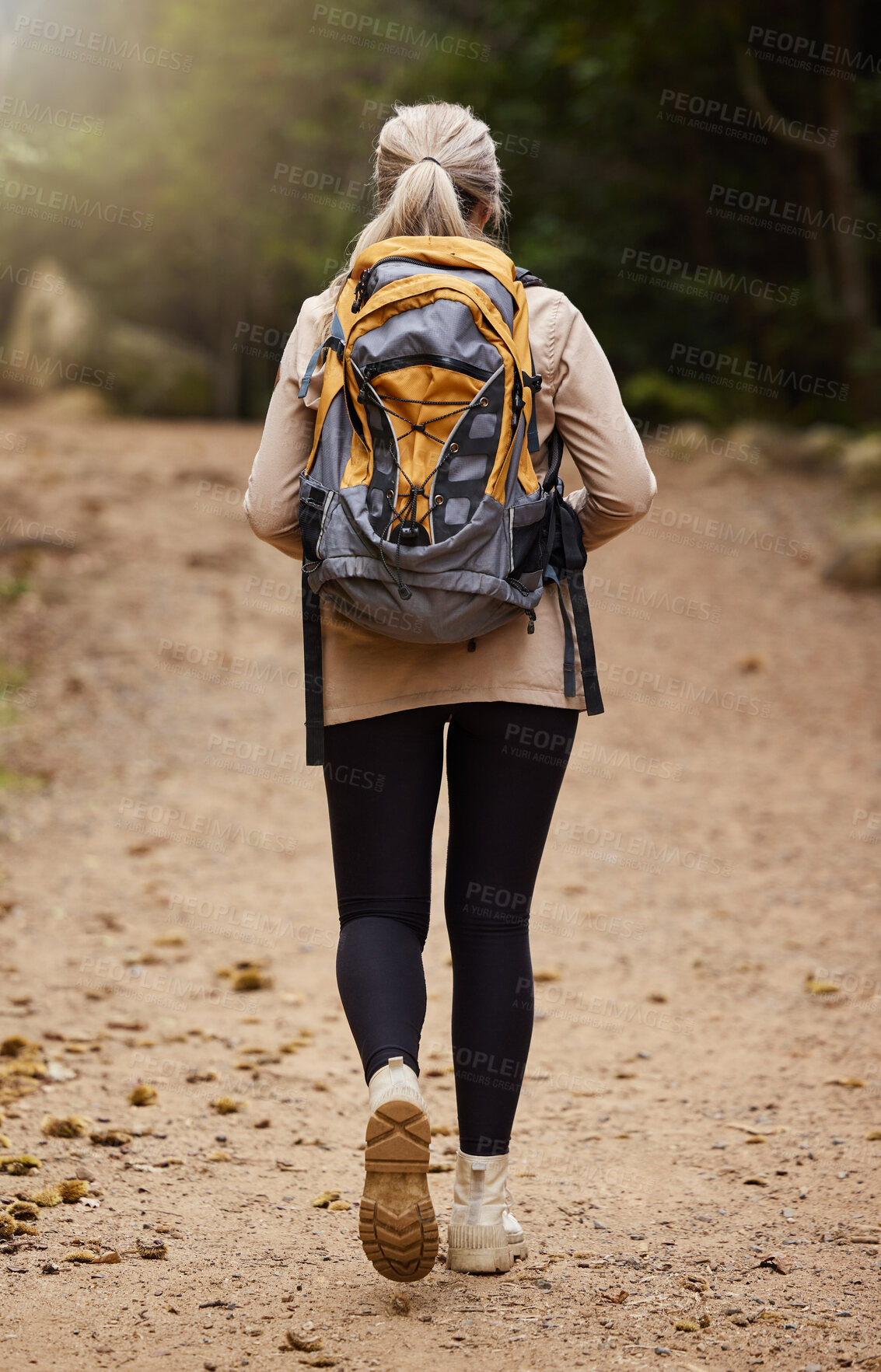 Buy stock photo Girl hiking, back view or woman in nature, forest or wilderness for a trekking adventure. Freedom, backpack healthy female hiker walking in a natural park or woods for exercise or wellness on holiday