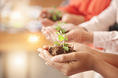 Buy stock photo Teamwork, soil or hands with plant for sustainability, agriculture environment or natural growth top view. Future goals, group accountability or people with dirt helping green leaves development