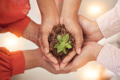 Buy stock photo Teamwork, earth day or hands with plant for sustainability, agriculture environment or natural growth top view. Goals, group accountability or zoom of soil dirt for future green leaves development