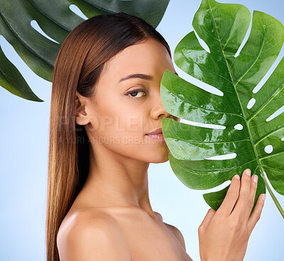 Buy stock photo Woman, portrait and leaf in natural beauty and organic skincare cosmetics for self love or care against a blue studio background. Female model holding leafy green plant for healthy wellness or skin