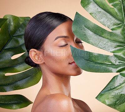 Buy stock photo Woman, face and leaf for natural skincare cosmetics, self love and care against studio background. Female cosmetic beauty holding leafy green plant for organic facial or sustainable eco spa treatment