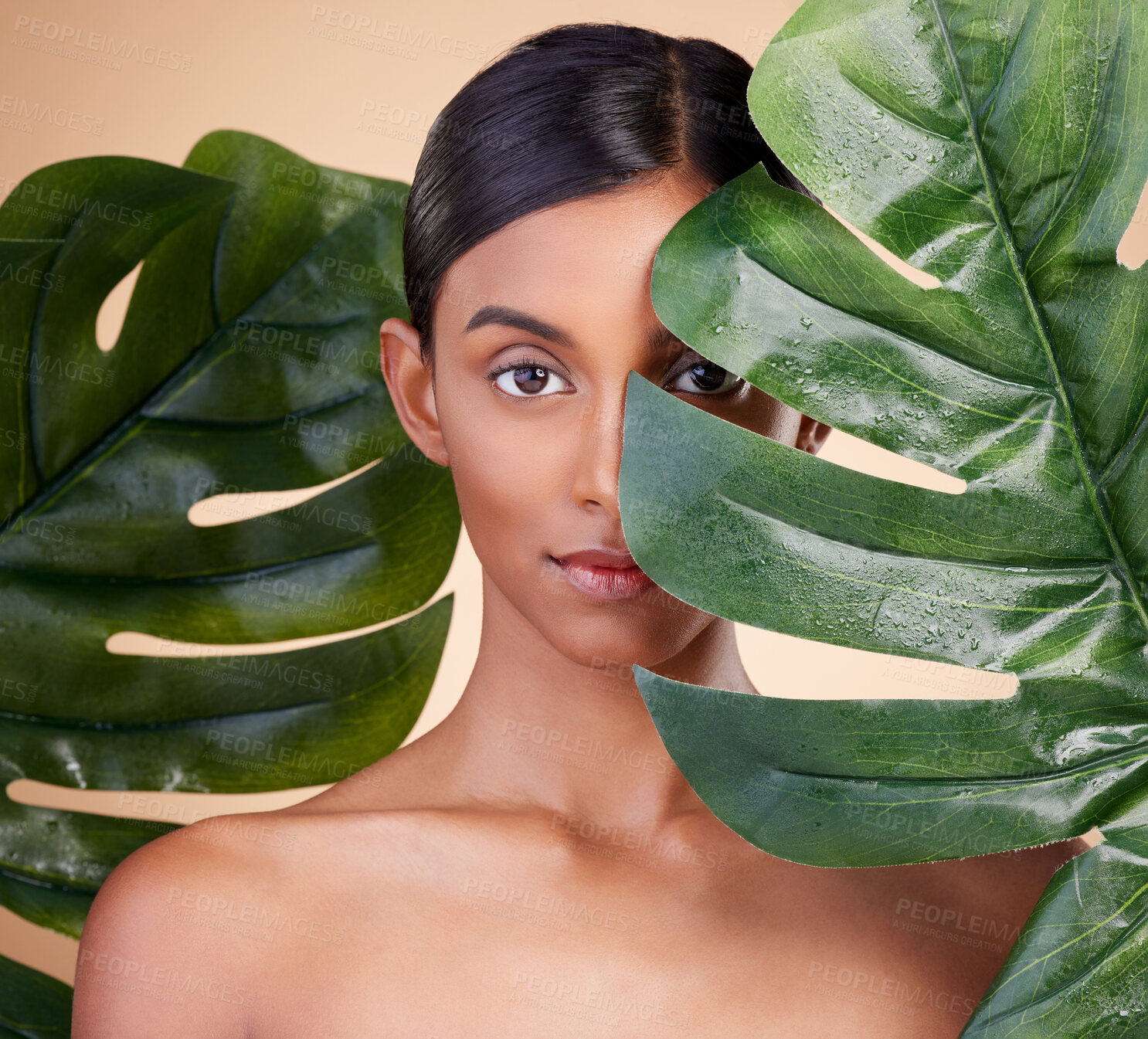 Buy stock photo Woman, portrait and leaf for natural skincare cosmetics, self love and care against studio background. Female cosmetic beauty holding leafy green organic plant for sustainable eco facial treatment