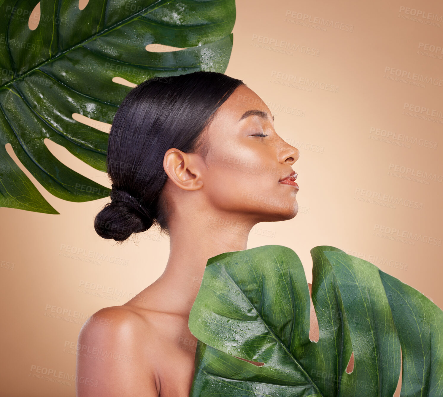 Buy stock photo Woman, face and leaf for natural skincare cosmetics, self love and care against studio background. Female cosmetic beauty holding leafy green plant for organic facial or sustainable eco spa treatment