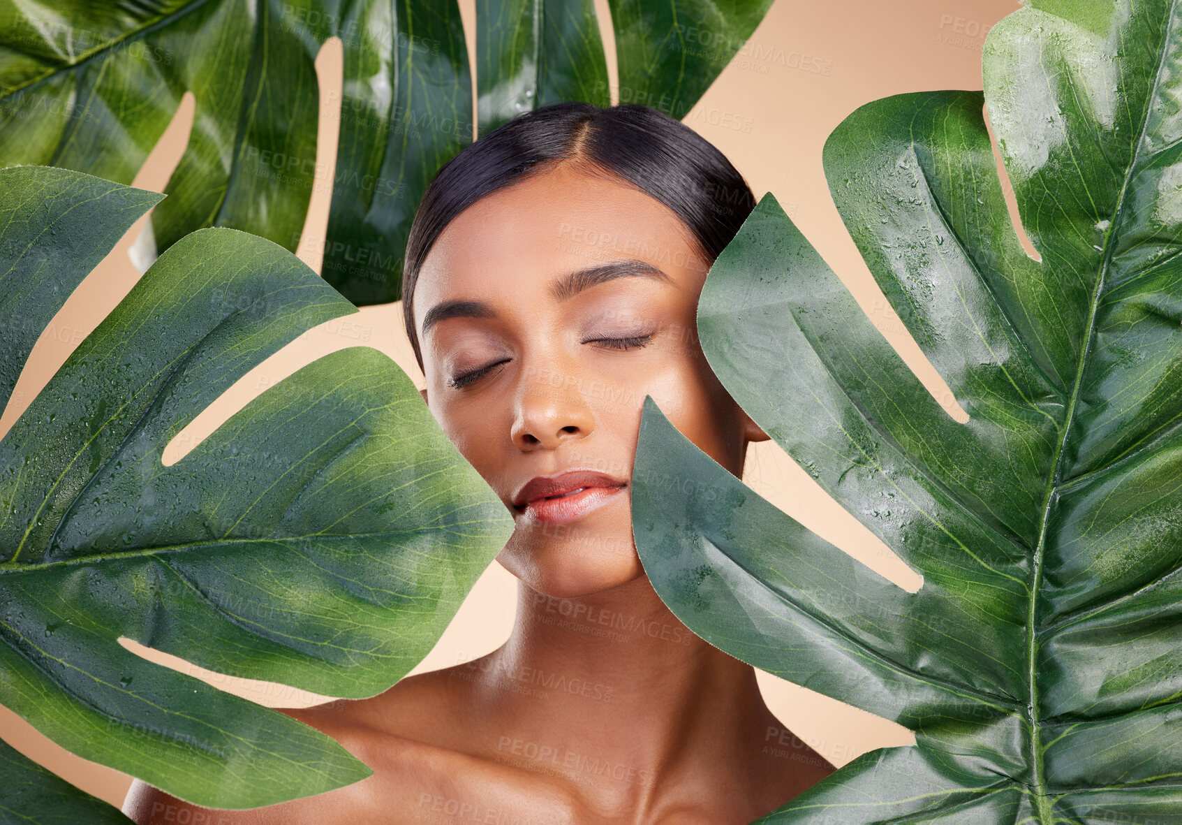 Buy stock photo Woman, face and leaf for natural skincare cosmetics, self love and care against studio background. Calm and relaxed female beauty holding leafy green organic plant in sustainable eco facial treatment