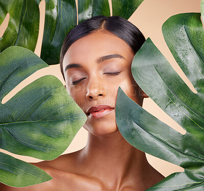 Buy stock photo Woman, face and leaf in natural skincare cosmetics, self love and care against studio background. Calm female beauty holding leafy green organic plant for sustainable eco facial spa treatment