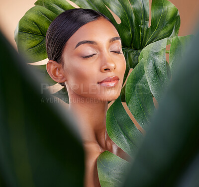 Buy stock photo Woman, face and leaf in natural skincare cosmetics, self love or aloe vera against studio background. Calm female beauty holding leafy green organic plant for sustainable eco facial or spa treatment