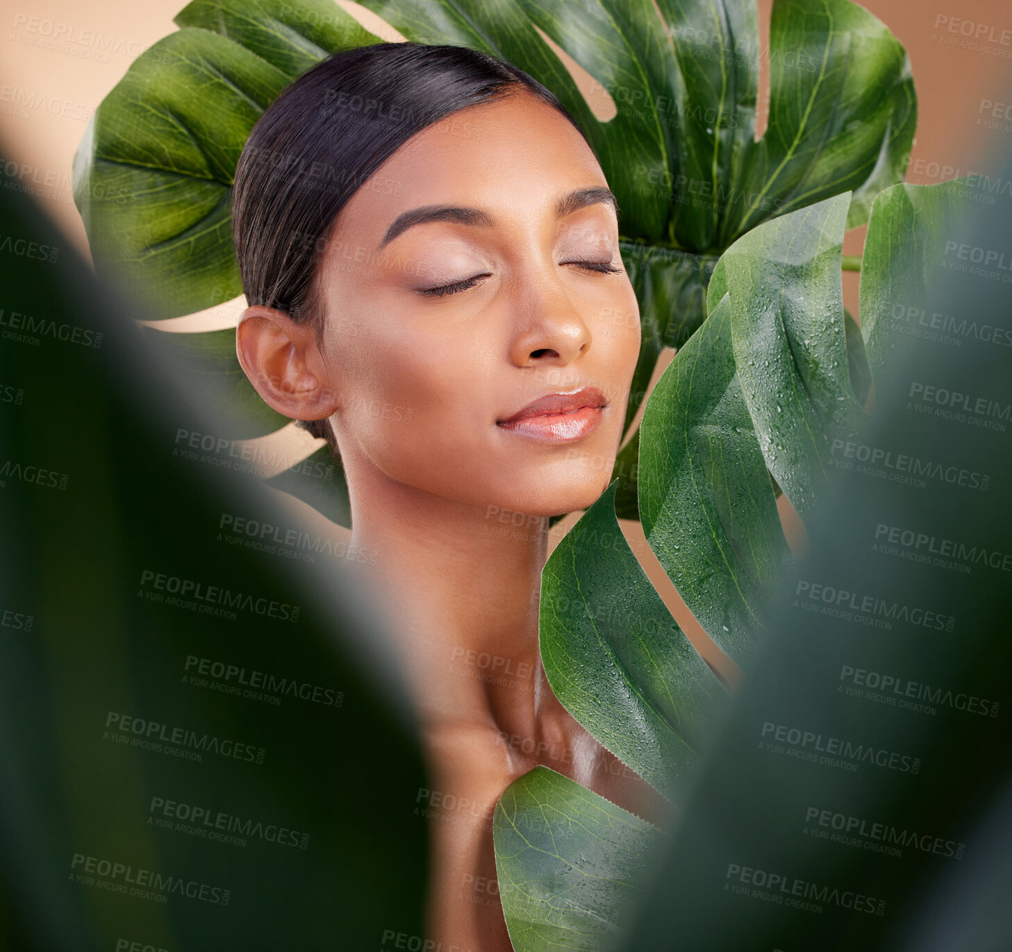 Buy stock photo Woman, face and leaf in natural skincare cosmetics, self love or aloe vera against studio background. Calm female beauty holding leafy green organic plant for sustainable eco facial or spa treatment