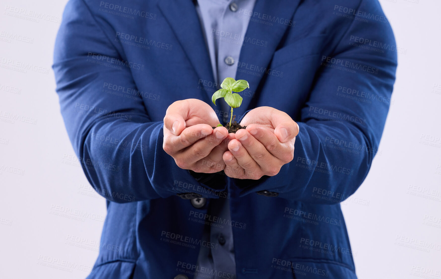 Buy stock photo Plant in man hands in business growth isolated on white background sustainability or eco friendly investment. Sapling soil, palm and sustainable development, sustainability or green startup in studio