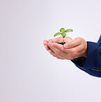 Plant in man hands for business growth isolated on white background with eco friendly investment mockup space. Sapling soil, palm and sustainable investing, sustainability or green startup in studio
