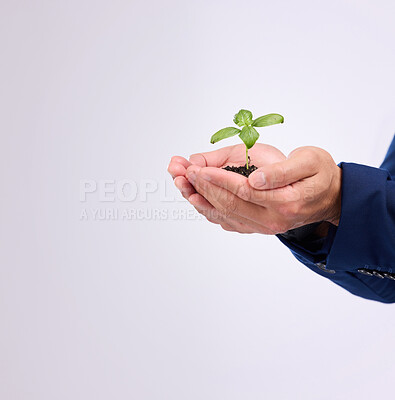 Buy stock photo Plant in man hands for business growth isolated on white background with eco friendly investment mockup space. Sapling soil, palm and sustainable investing, sustainability or green startup in studio
