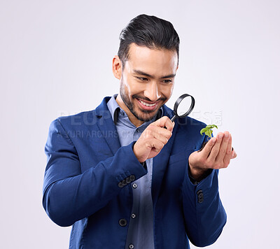 Buy stock photo Magnifying glass, plant and growth with man in studio for investment, search and zoom. Knowledge, discover and investigation with employee on gray background for study, analysis and curiosity