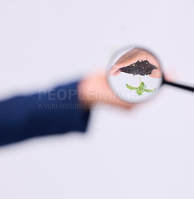 Buy stock photo Magnifier and focus on sustainability with magnifying glass in search of alternative solution or analyzing plant and soil. Hands, person and sustainable expert studying eco friendly produce in studio