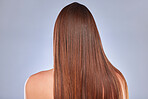 Hair, model and back of a woman with beauty, wellness and soft hairstyle texture in a studio. Cosmetics, shampoo treatment and keratin of a female with healthy, clean and haircare shine from salon