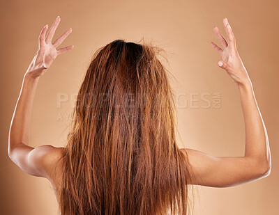 Buy stock photo Messy, tangled and back of a woman in a studio with knot, brittle and damaged hairstyle. Dry, frizzy and female model with long and big hair for salon restore treatment isolated by brown background.