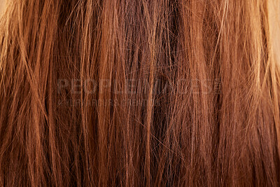 Buy stock photo Haircare, texture and beauty closeup of woman with breakage, keratin or hairstyle problem. Dry, macro and female model with messy hair, frizzy or hairloss, damaged or tangled after salon treatment.