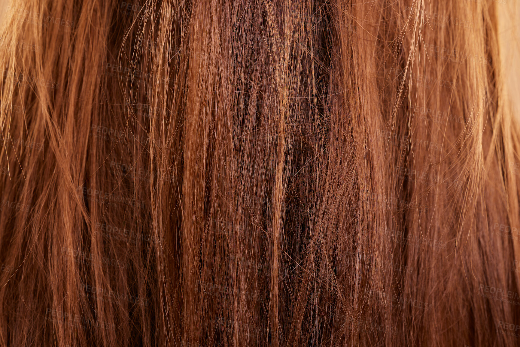 Buy stock photo Haircare, texture and beauty closeup of woman with breakage, keratin or hairstyle problem. Dry, macro and female model with messy hair, frizzy or hairloss, damaged or tangled after salon treatment.