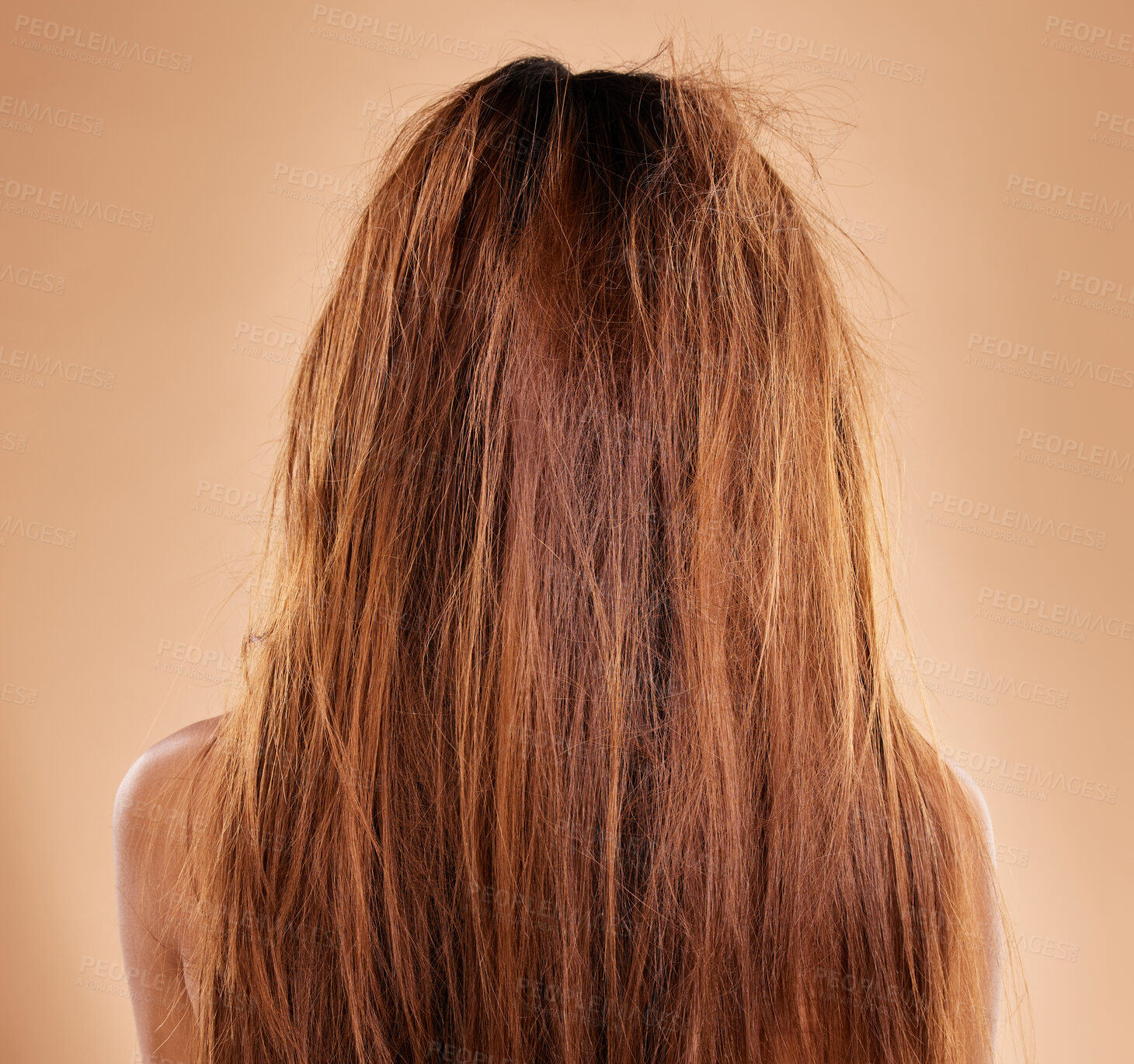 Buy stock photo Messy, damaged hair and back of a woman in a studio with a brittle frizzy hairstyle before a treatment. Dirty, dry and female model with long, tangled and knot texture isolated by a brown background.