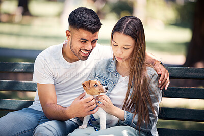 Buy stock photo Man, woman and puppy relax in park, bench and summer sunshine with happiness, care and bond. Young couple, touch and small dog with calm, smile and hug for love, romance and family in nature together