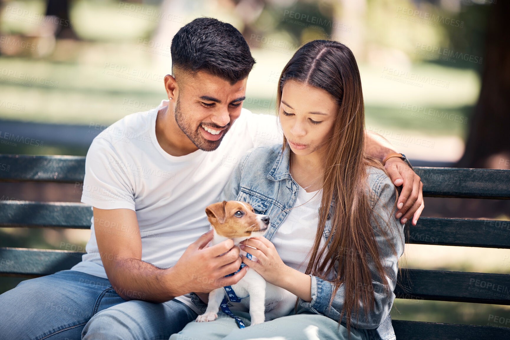 Buy stock photo Man, woman and puppy relax in park, bench and summer sunshine with happiness, care and bond. Young couple, touch and small dog with calm, smile and hug for love, romance and family in nature together