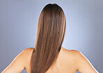 Woman, beauty and hair care in studio for texture, growth and healthy shine on blue background. Aesthetic female model back for haircare, wellness and results for salon or hairdresser treatment