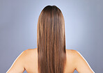 Woman, beauty and hair in studio for texture, growth and healthy shine on blue background. Aesthetic female model back for haircare, self care and cosmetic results for salon or hairdresser treatment